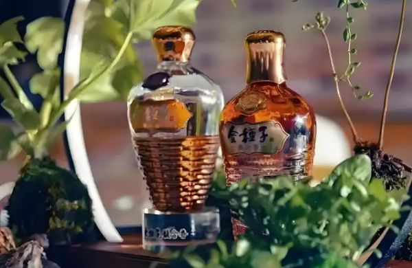 悦来网 金种子酒巨亏10倍, 华润“输血”难止颓势!