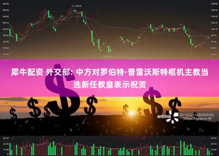 犀牛配资 外交部: 中方对罗伯特·普雷沃斯特枢机主教当选新任教皇表示祝贺