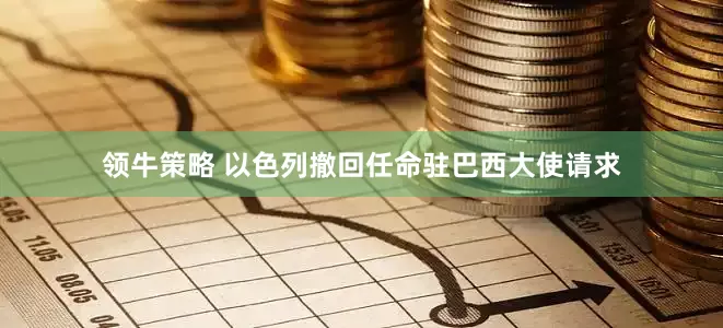 领牛策略 以色列撤回任命驻巴西大使请求