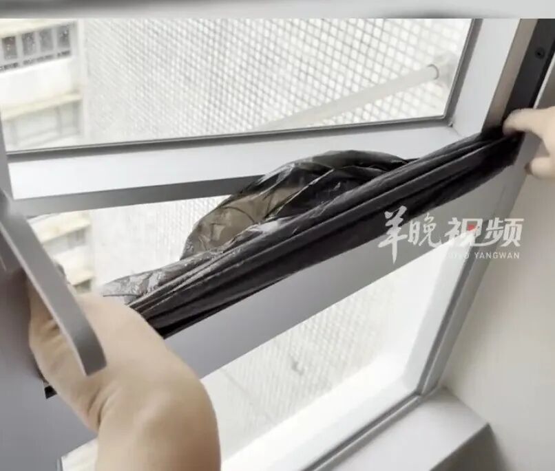 图源：羊城晚报