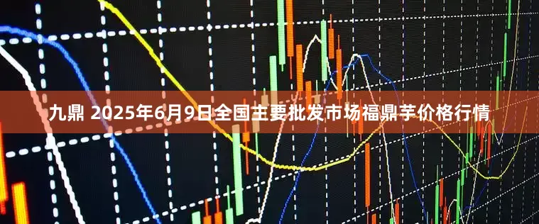 九鼎 2025年6月9日全国主要批发市场福鼎芋价格行情