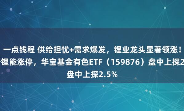 一点钱程 供给担忧+需求爆发,锂业龙头显著领涨!盛新锂能涨停,华宝基金有色ETF(159876)盘中上探2.5%